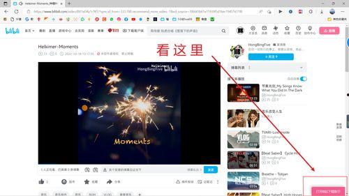 樱花爆料大神视频下载免费,樱花爆料大神视频免费下载攻略揭秘